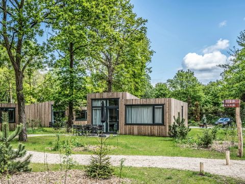 Roompot Vakantiepark Schaijk - Camping Landerd - Image N°21