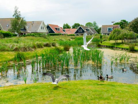 Landal Duinpark 't Hof van Haamstede - Camping Schouwen-Duiveland - Image N°5