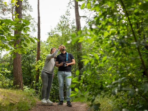 Landal De Vlinderhoeve - Camping Lochem