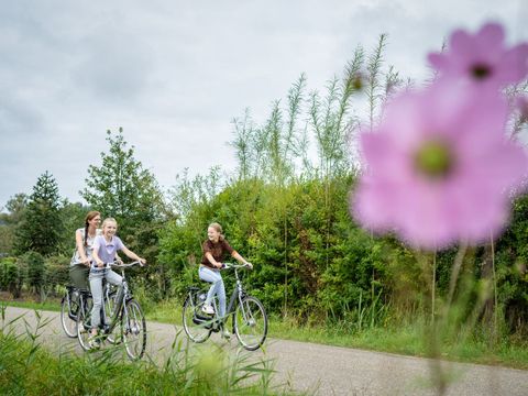 Landal De Vlinderhoeve - Camping Lochem - Afbeelding N°2