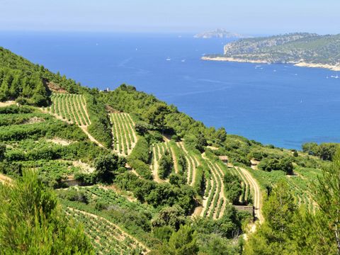 Pierre & Vacances Résidence Bandol Port - Camping Var - Image N°18