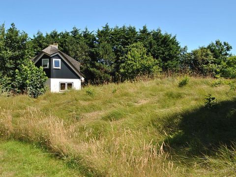 Pelikaan Vakantiewoningen Texel - Camping Texel - Image N°50