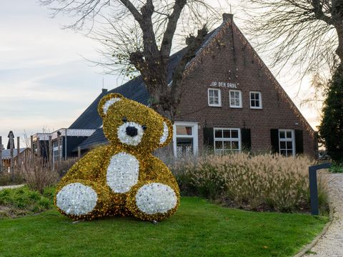 EuroParcs De Kraaijenbergse Plassen - Camping Cuijk - Image N°17