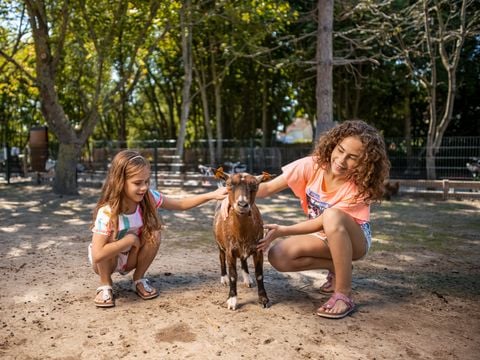 Center Parcs Park De Haan - Camping Flandre Occidentale - Image N°24