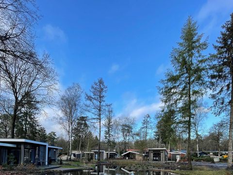 De Rimboe & Woeste Hoogte - Camping Apeldoorn - Image N°8