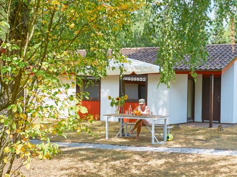 Ferienpark Grafschaft Bentheim - Camping Basse-saxe - Image N°15