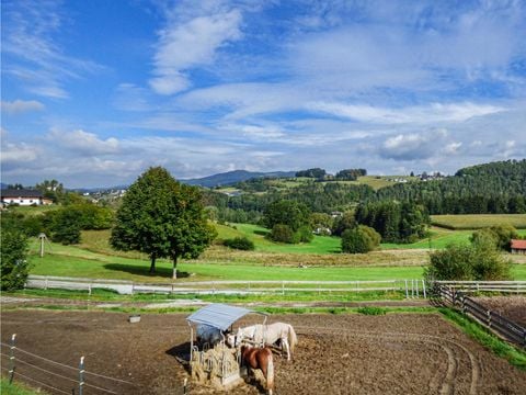 Novasol Ferienhausdorf Viechtach - Camping Bavière - Image N°37