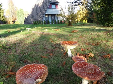 Feriendorf Waldbrunn - Camping Baden-Württemberg