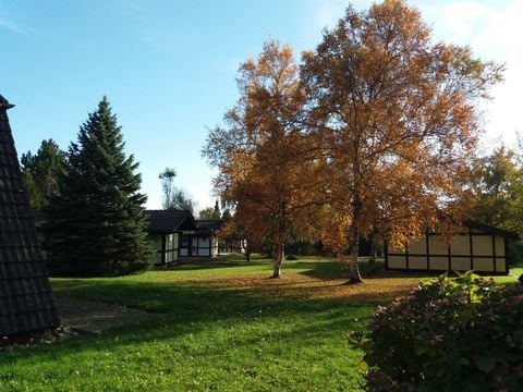 Feriendorf Waldbrunn - Camping Baden-Württemberg - Image N°9