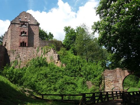 Feriendorf Waldbrunn - Camping Baden-Württemberg - Image N°16