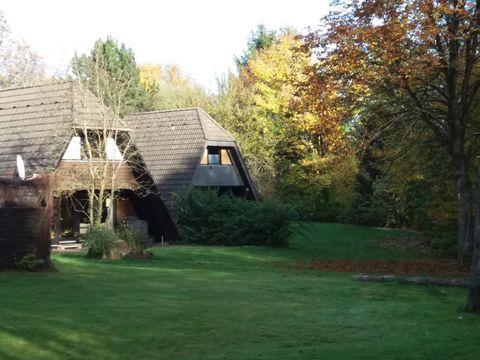 Feriendorf Waldbrunn - Camping Baden-Württemberg - Afbeelding N°2