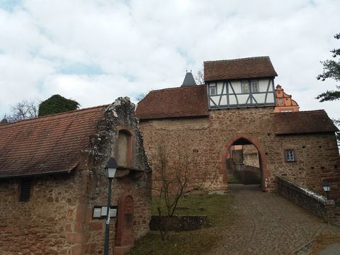 Feriendorf Waldbrunn - Camping Baden-Württemberg - Image N°15