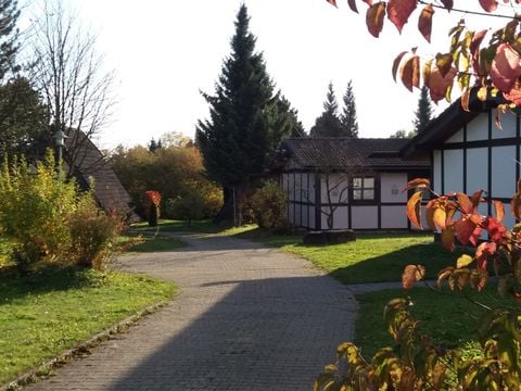 Feriendorf Waldbrunn - Camping Baden-Württemberg - Image N°7