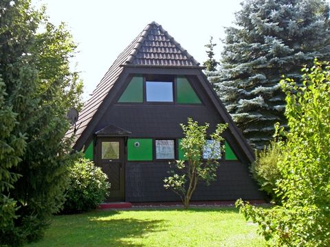 Feriendorf Waldbrunn - Camping Baden-Württemberg - Afbeelding N°0