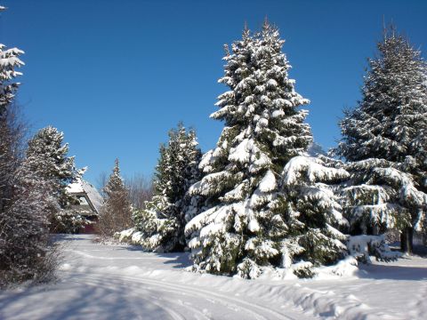 Feriendorf Waldbrunn - Camping Baden-Württemberg - Image N°37