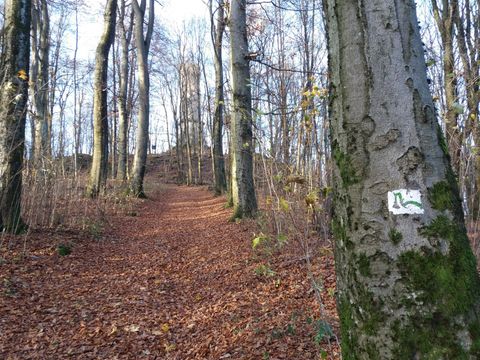 Feriendorf Waldbrunn - Camping Baden-Württemberg - Image N°27