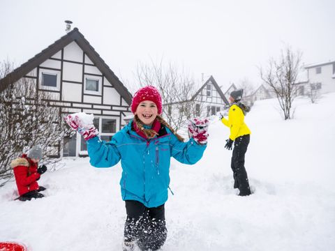 Landal Winterberg - Camping Rhénanie du Nord-Westphalie - Image N°62