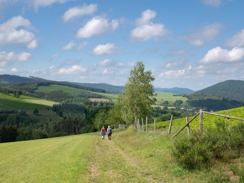 Landal Winterberg - Camping Rhénanie du Nord-Westphalie - Image N°65