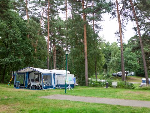 Oostappen park Boschbeek - Camping Roerdalen - Image N°6