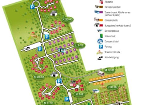 Oostappen park Boschbeek - Camping Roerdalen - Image N°15