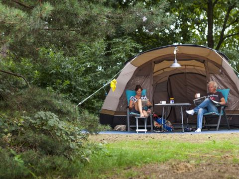 Oostappen park Boschbeek - Camping Roerdalen - Image N°3