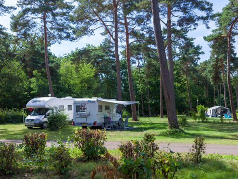 Oostappen park Boschbeek - Camping Roerdalen - Image N°2