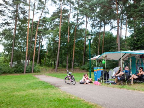 Oostappen park Boschbeek - Camping Roerdalen - Image N°5