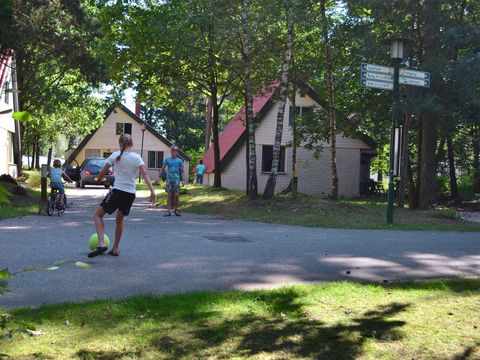 Oostappen park Boschbeek - Camping Roerdalen - Image N°2