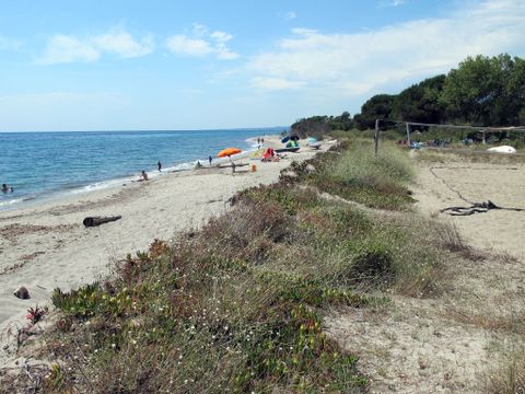 Rico Plage - Camping Northern Corsica - Image N°4