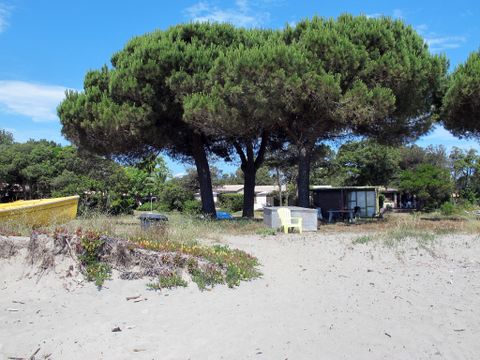 Rico Plage - Camping Northern Corsica - Image N°3