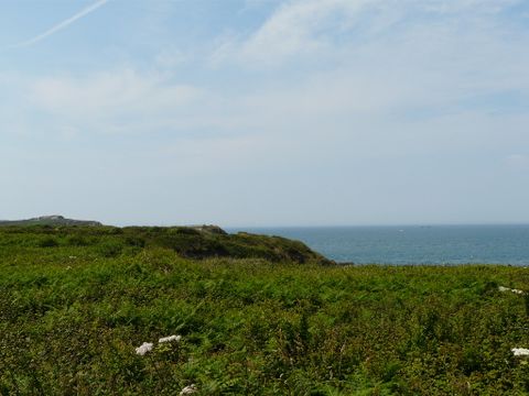 Résidence La Baie des Corsaires - Camping Ille-et-Vilaine - Image N°4