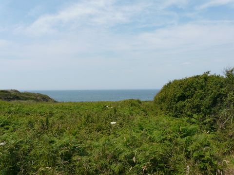 Résidence La Baie des Corsaires - Camping Ille-et-Vilaine - Image N°5