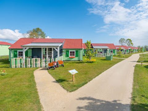 Familieresort Molenwaard - Camping Molenlanden - Image N°12