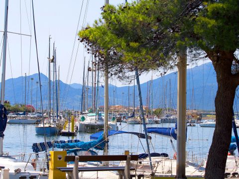 Les Goelettes - Camping Pyrénées-Orientales - Image N°7