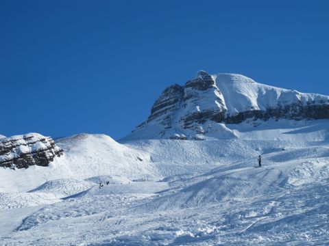 Les Jardins Alpins - Camping Haute-Savoie - Image N°7