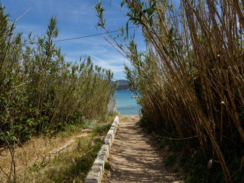 Cap Négre: Domaine de la Pinède - Camping Var - Image N°7