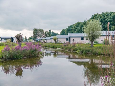 EuroParcs aan de Maas - Camping Maasdriel - Image N°15