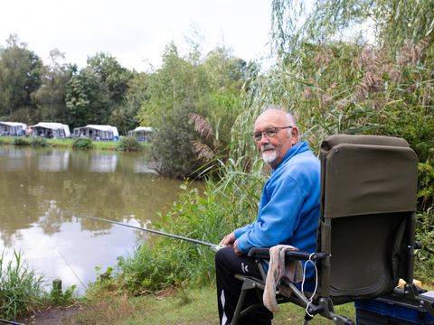 Oostappen park Slot Cranendonck - Camping Cranendonck - Image N°4