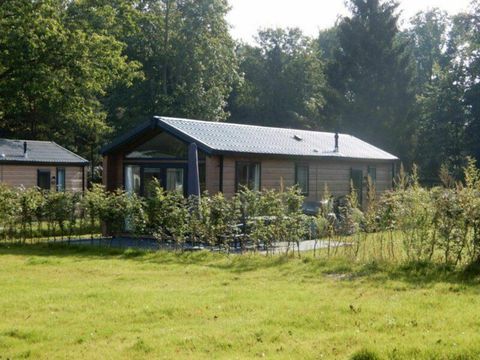 Recreatiepark de Veldkamp - Camping Epe - Image N°103