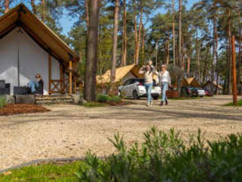 EuroParcs Hoge Kempen - Camping Limbourg - Image N°47