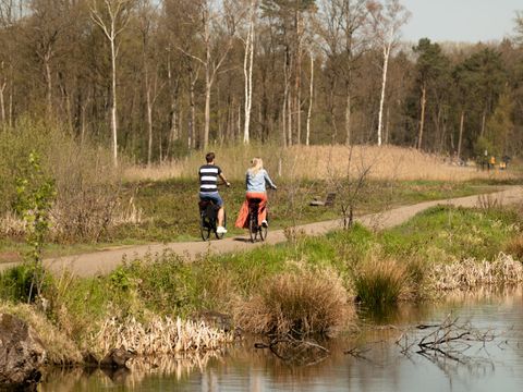 EuroParcs Hoge Kempen - Camping Belgisch Limburg - Afbeelding N°4