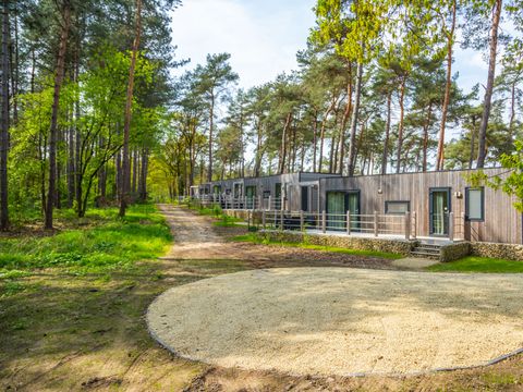 EuroParcs Hoge Kempen - Camping Belgisch Limburg - Afbeelding N°2