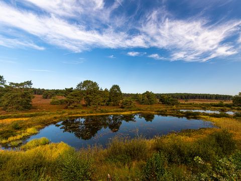 EuroParcs Hoge Kempen - Camping Limbourg - Image N°7