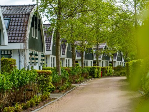 EuroParcs Koningshof - Camping Bergen - Image N°12