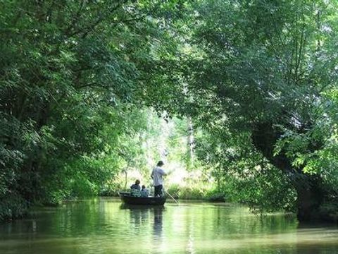 FranceComfort Bourg Est - Vilgilière - Camping Deux-Sèvres - Image N°2