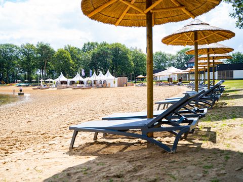 Vakantiepark BreeBronne - Camping Peel en Maas - Image N°13