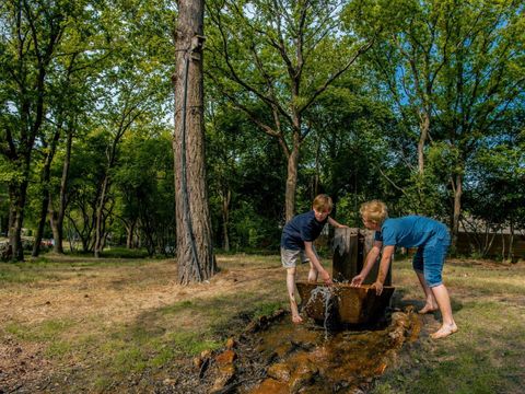 EuroParcs Ruinen - Camping De Wolden - Image N°19