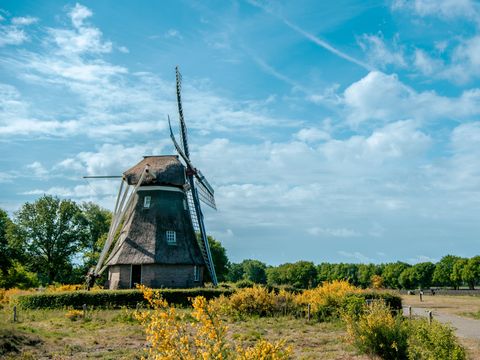 EuroParcs Ruinen - Camping De Wolden - Image N°33