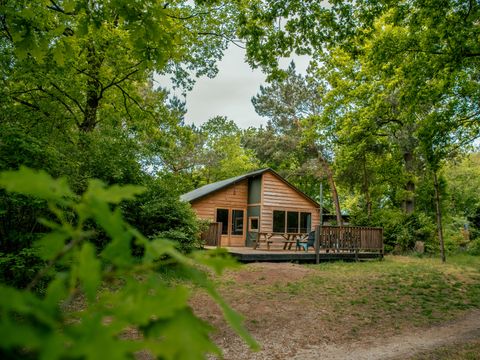 EuroParcs Ruinen - Camping De Wolden - Image N°30