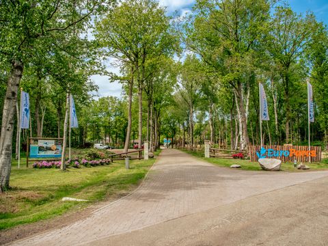 EuroParcs Ruinen - Camping De Wolden - Image N°6